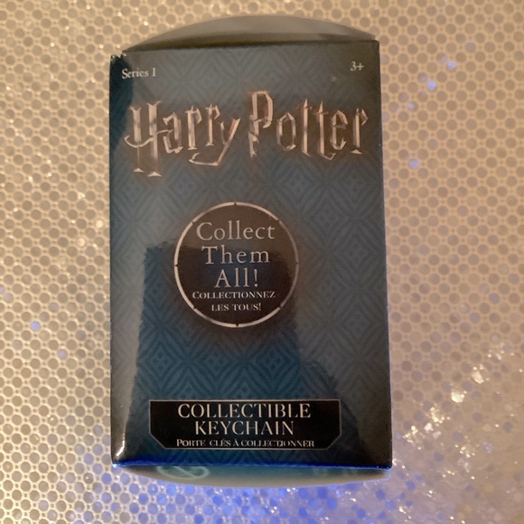 Harry Potter Keychain Destroyed Tom Riddle Diary - Picture 1 of 7